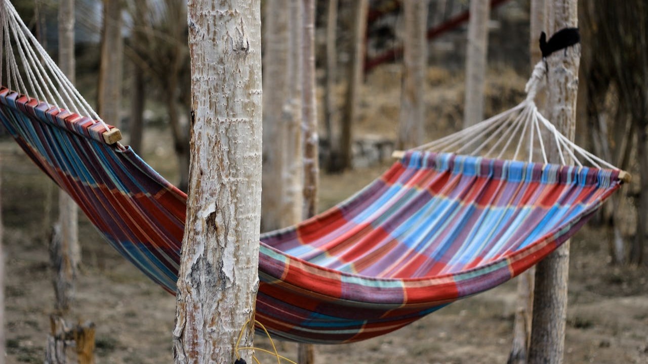 hammocking